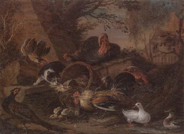 unknow artist Still life of fowl in a farmyard,with a cat stealing a bantam chick China oil painting art